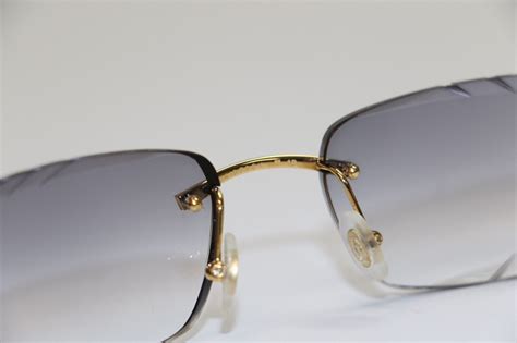 cartier ct0046s 003.